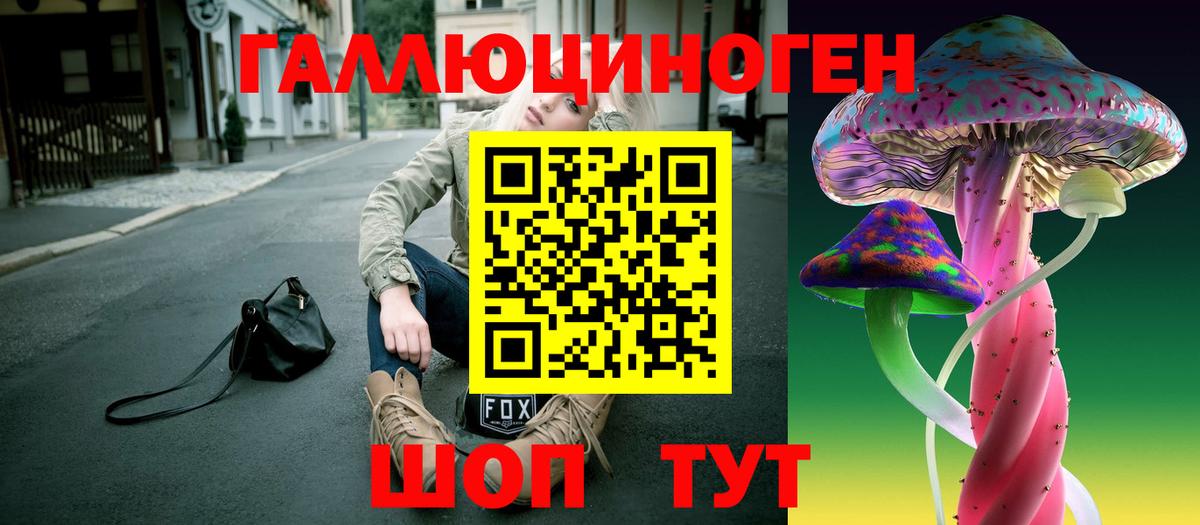 Псилоцибиновые грибы GOLDEN TEACHER Новозыбков
